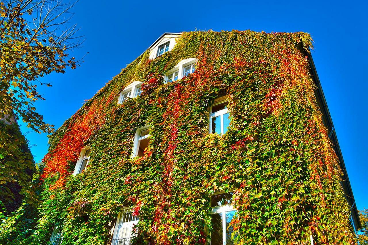 Schoena Einliegerwohnung Reinhardtsdorf-Schona Exterior photo